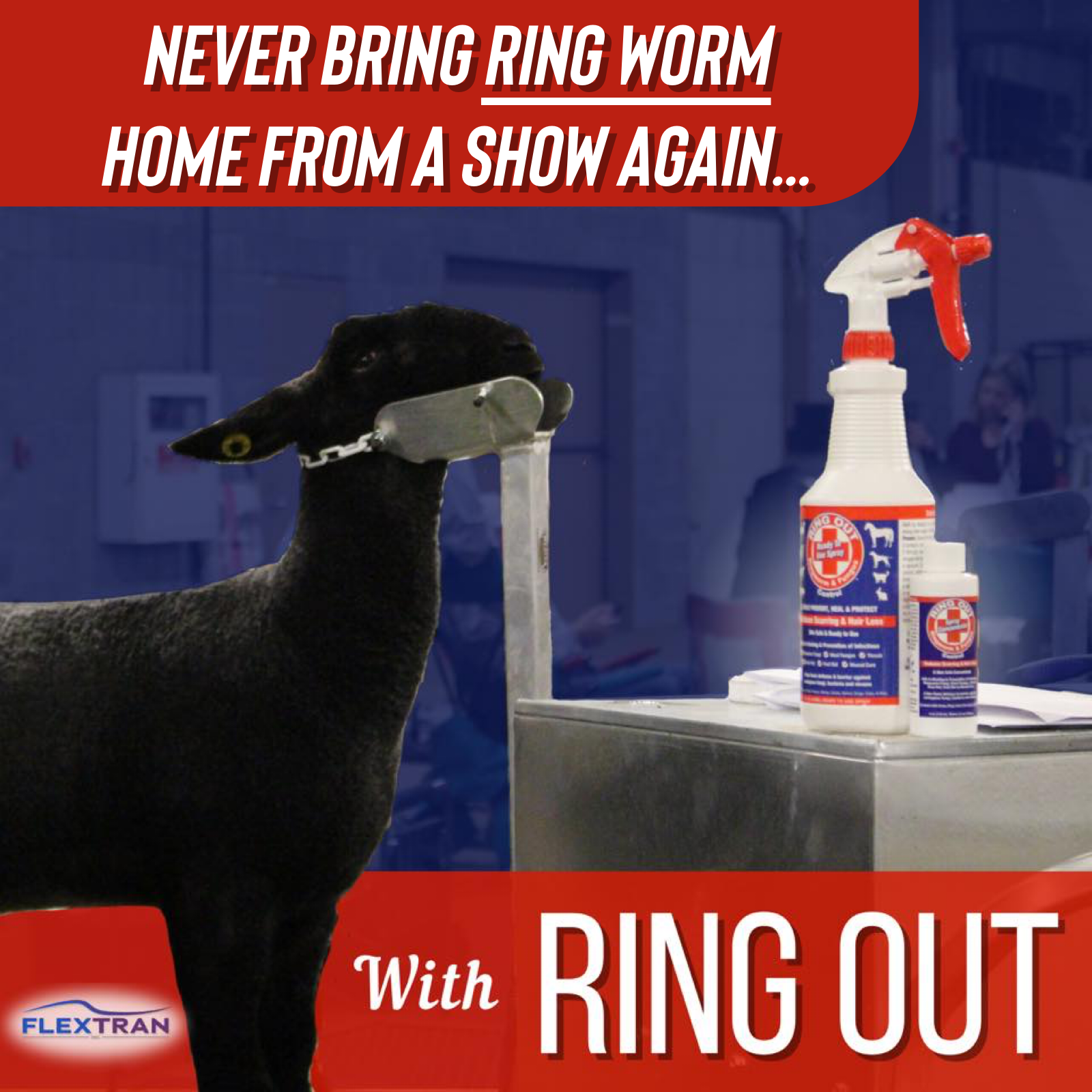 Ring Out - 2 bottles of Ring Out & 1 Sprayer - Prevent & Help Treat Ringworm & Fungus