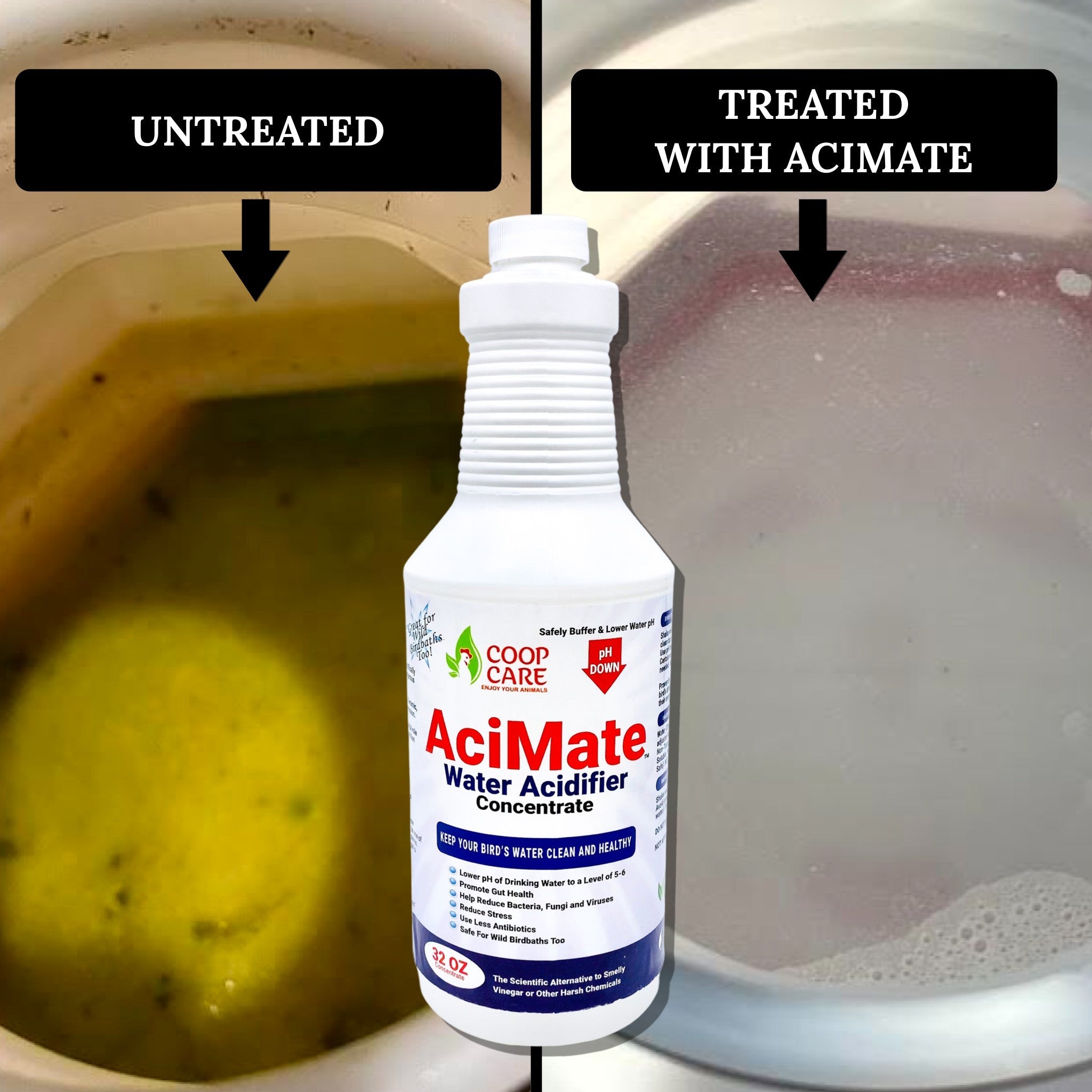 AciMate Water Acidifier Concentrate (32oz) – Water Quality is Essential to Poultry Health. Optimize Water pH, Eliminate BioFilm & Algae Growth in Your Waterers. 10x Stronger than Apple Cider Vinegar! Pleasant Taste. Free pH test strips included!