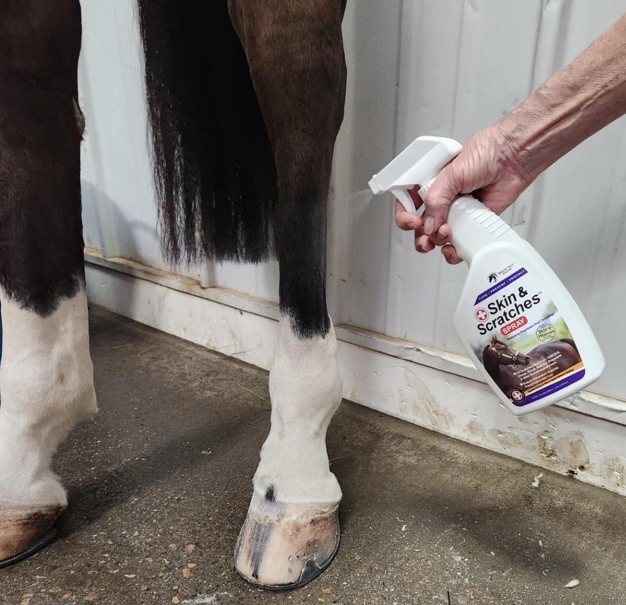 Show Out Skin & Scratches Prevention Pack - Fast Relief and Prevention for Horse Care. Use on Equine Scratches/Mud Fever, Girth Itch, Mange, Thrush, Rain Rot, Ringworm & Other Skin Issues on Horses