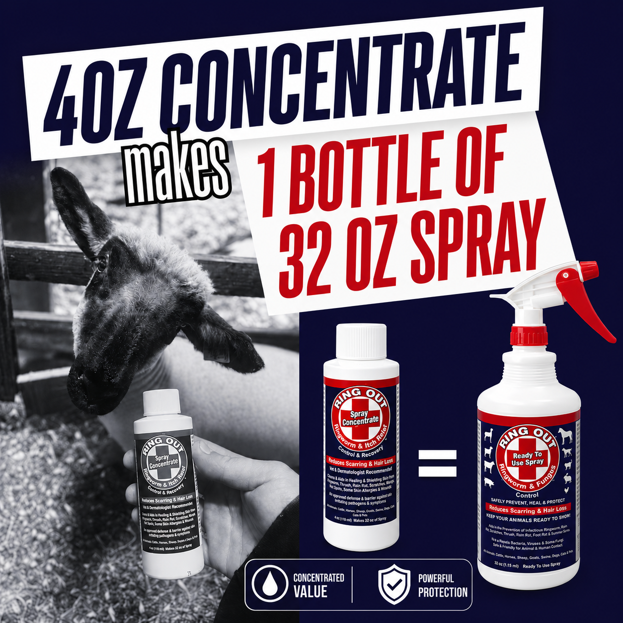 Ringworm Prevention Pack - Prevent and Help Treat Ringworm for Goats, Cattle, Horses, All Pets and Livestock. Ring Out, Ring Out Shampoo and Empty 32 oz Spray Bottle