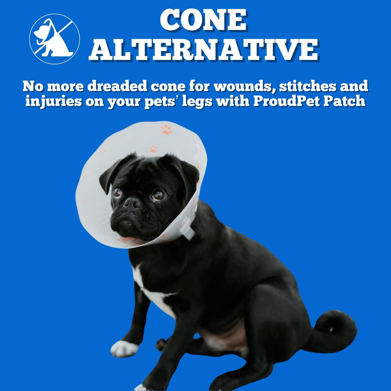 glutathione patch for dogs Dog-Safe Snacks: What Foods Are Rich in Glutathione? Earth Buddy Pet 9 Ways To Boost Glutathione