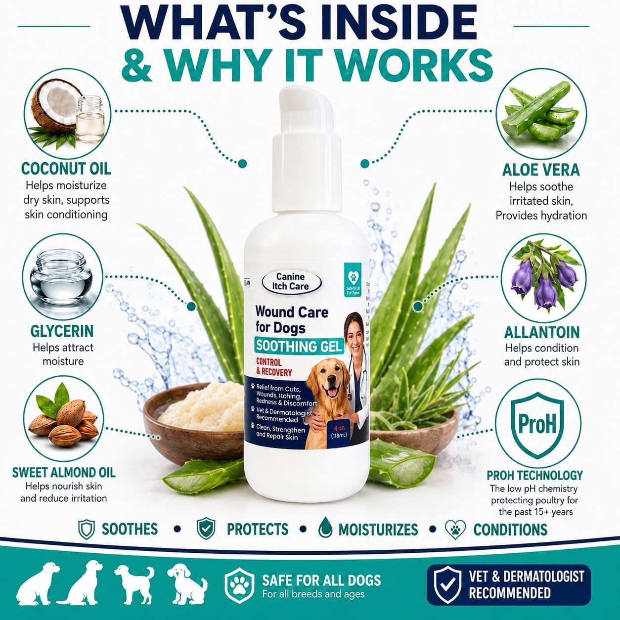 Wound Care for Dogs