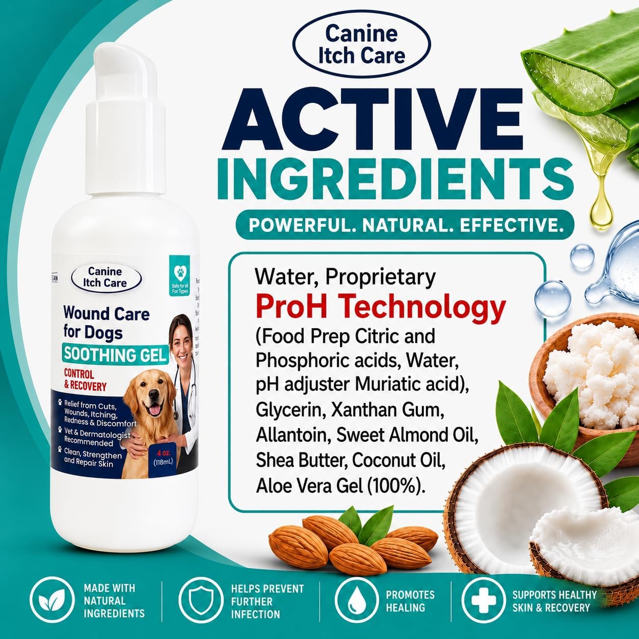 Wound Care for Dogs