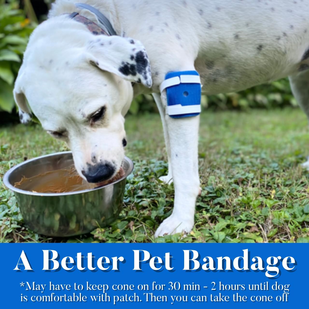 Proud Pet Patches A Better Dog Bandage for Wound Care, Cone Collar Alternative. Recovery Bandage for Dogs Leg. Cover & Help Licking of Hot Spots, Lick Granuloma, Stitches w/Hot Spot Spray