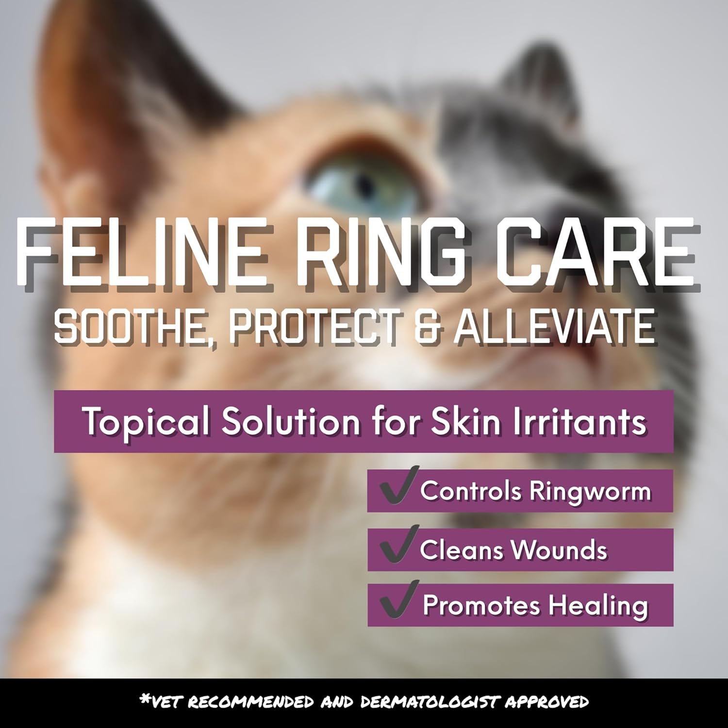 Ringworm In Cats Prevention