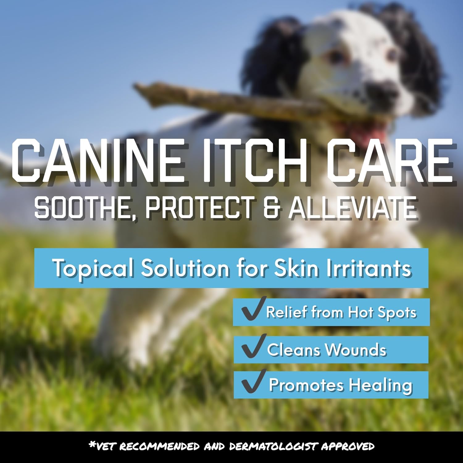 Canine Itch Care Hot Spot Spray & Itch Relief For Dogs and Cat. Remedy for Dog Itching, Dry Skin, Rash, Ringworm, Dermatitis, Itchy Paw, Irritation on Skin, Skin Allergy, Wound Care (Makes 32 oz)