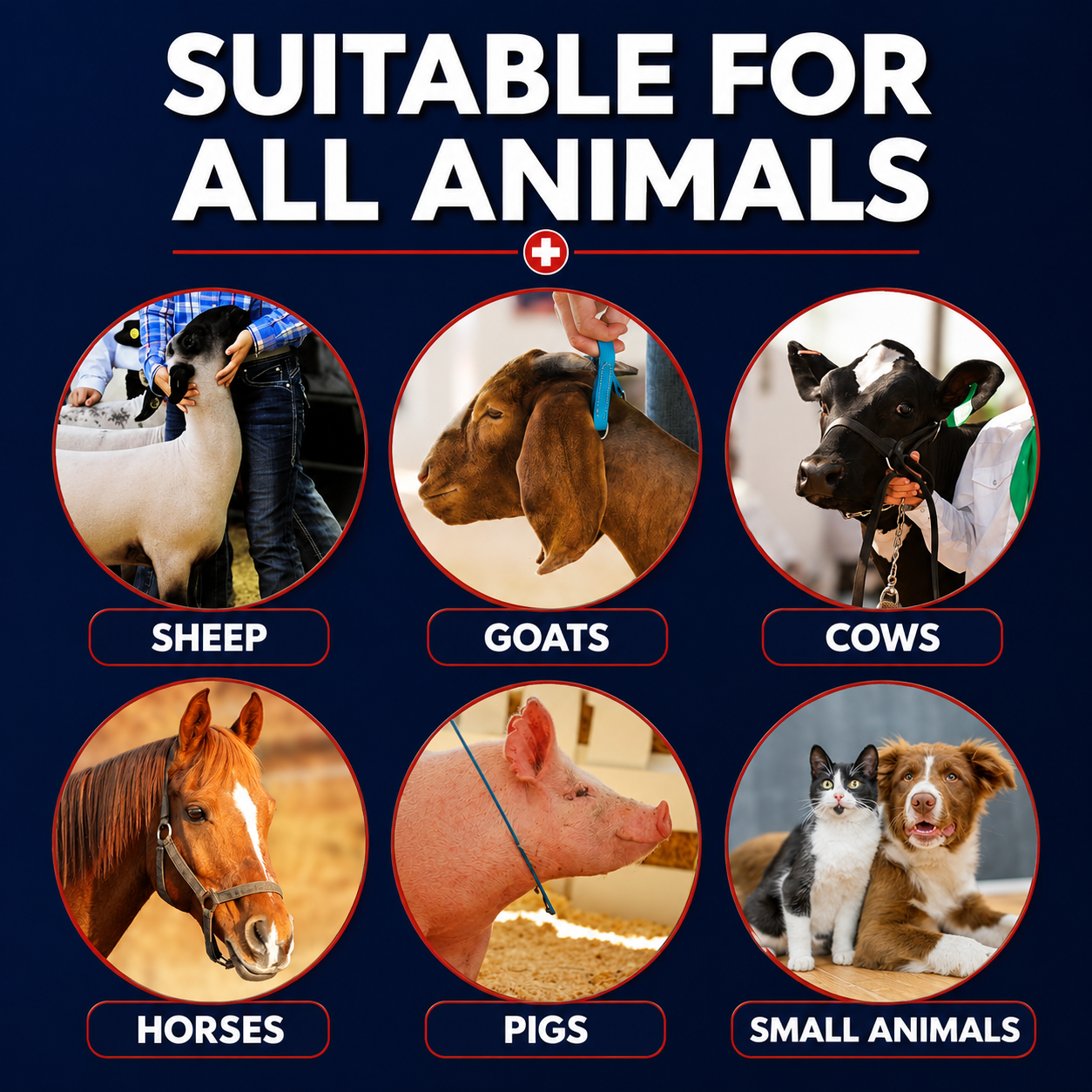 Ringworm Prevention Pack - Prevent and Help Treat Ringworm for Goats, Cattle, Horses, All Pets and Livestock. Ring Out, Ring Out Shampoo and Empty 32 oz Spray Bottle