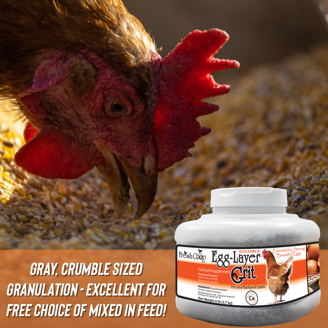 Absorbent Chicken Egg Layer Grit for Better Poultry Egg Production | Calcium Limestone Supplement for Layers | Organic and Easy to Pour 6 lb Jug. Must Need Supplies