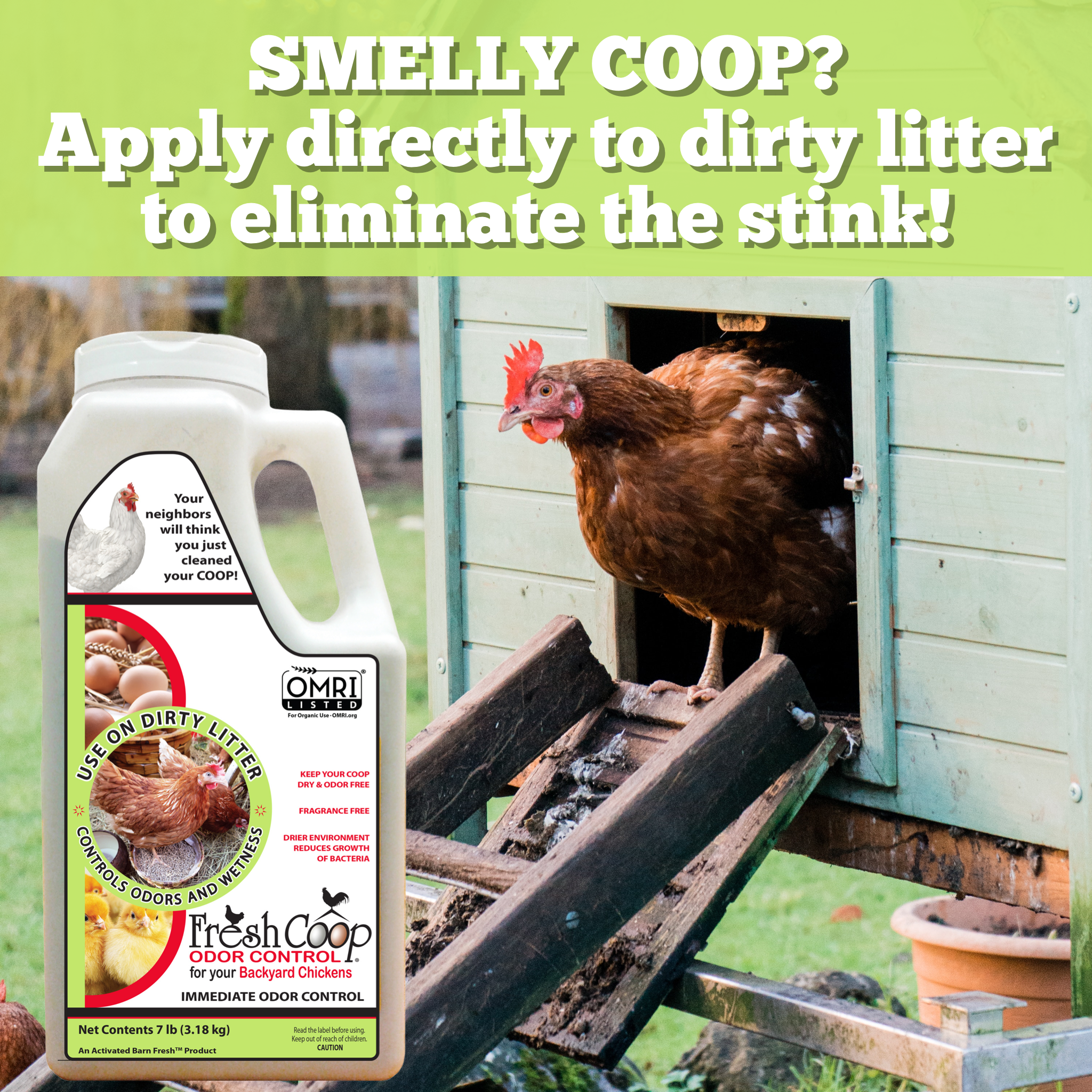 Chicken Cleaner Fresh Coop Chicken Odor Control and Eliminator for Backyard Chickens ...