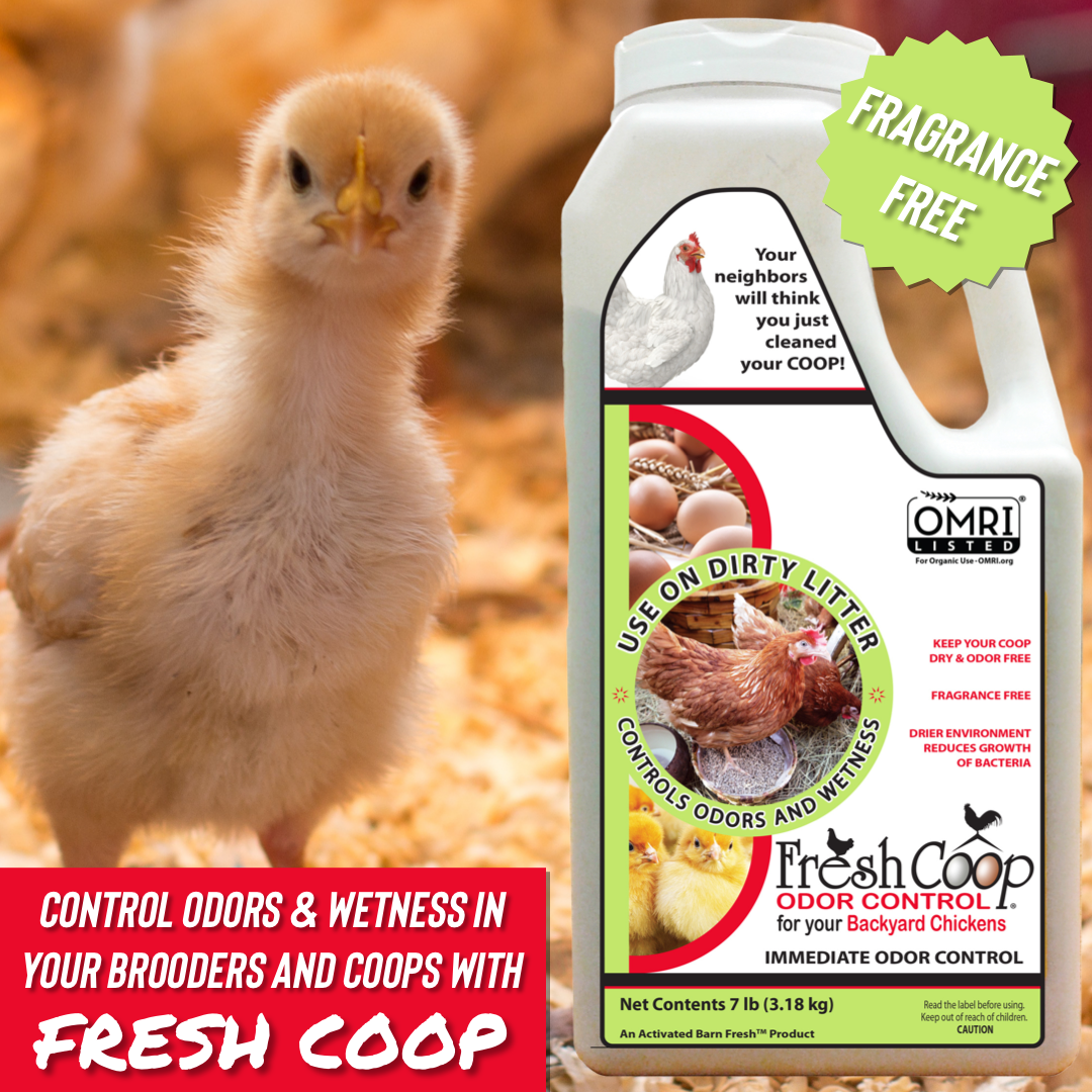 Chicken Cleaner Fresh Coop Chicken Odor Control and Eliminator for Backyard Chickens ...