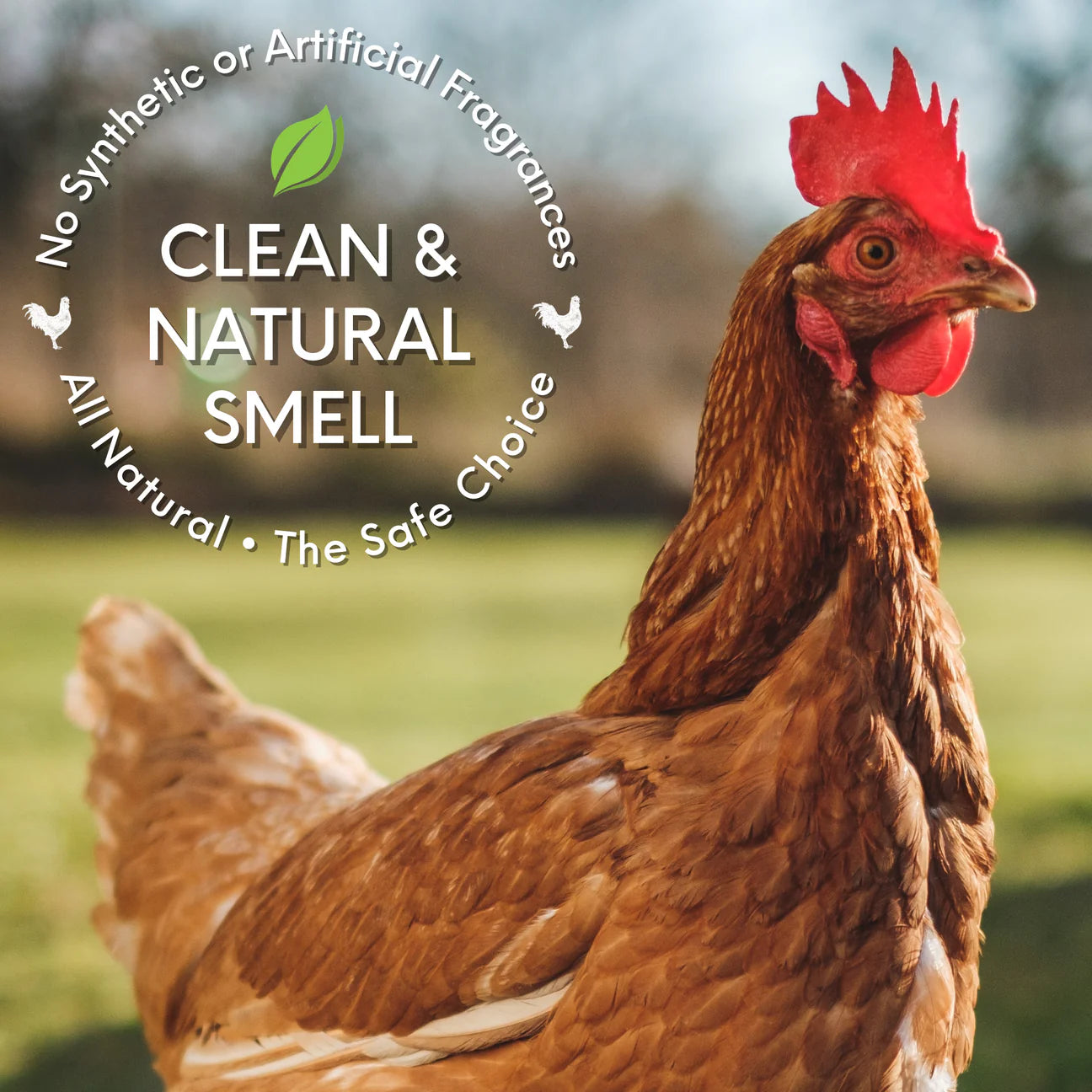 Chick Fresh - Eliminate Chicken Coop & Brooder Odor Concentrate (4 oz makes 1 Gallon of Spray!) *Includes FREE Gallon & 24 oz Application Spray Bottles