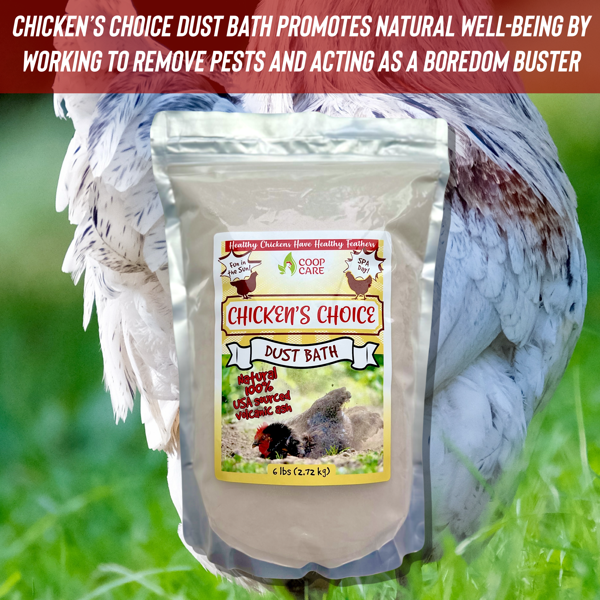 Chicken’s Choice Dust Bath – All-Natural Dust Bath Additive for Chickens and all types of Poultry to Help Remove Excess Oils and Keep Feathers in Tip Top Condition (6lb Resealable Pouch)