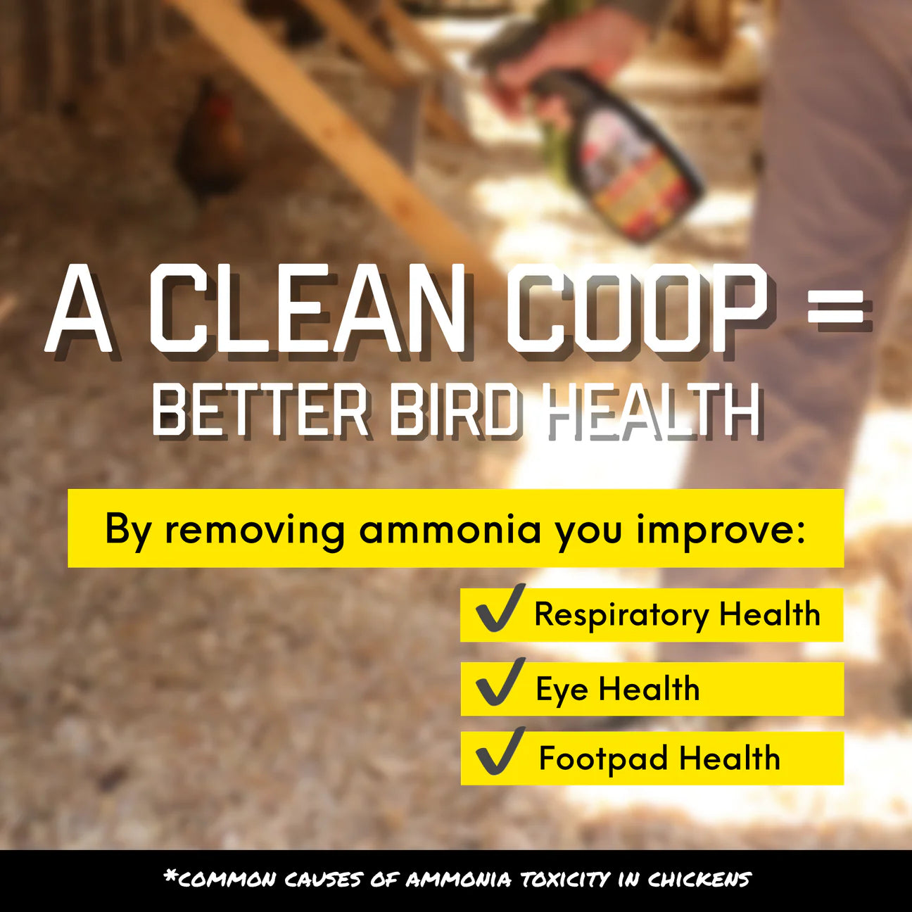 Chick Fresh - Eliminate Chicken Coop & Brooder Odor Concentrate (4 oz makes 1 Gallon of Spray!) *Includes FREE Gallon & 24 oz Application Spray Bottles