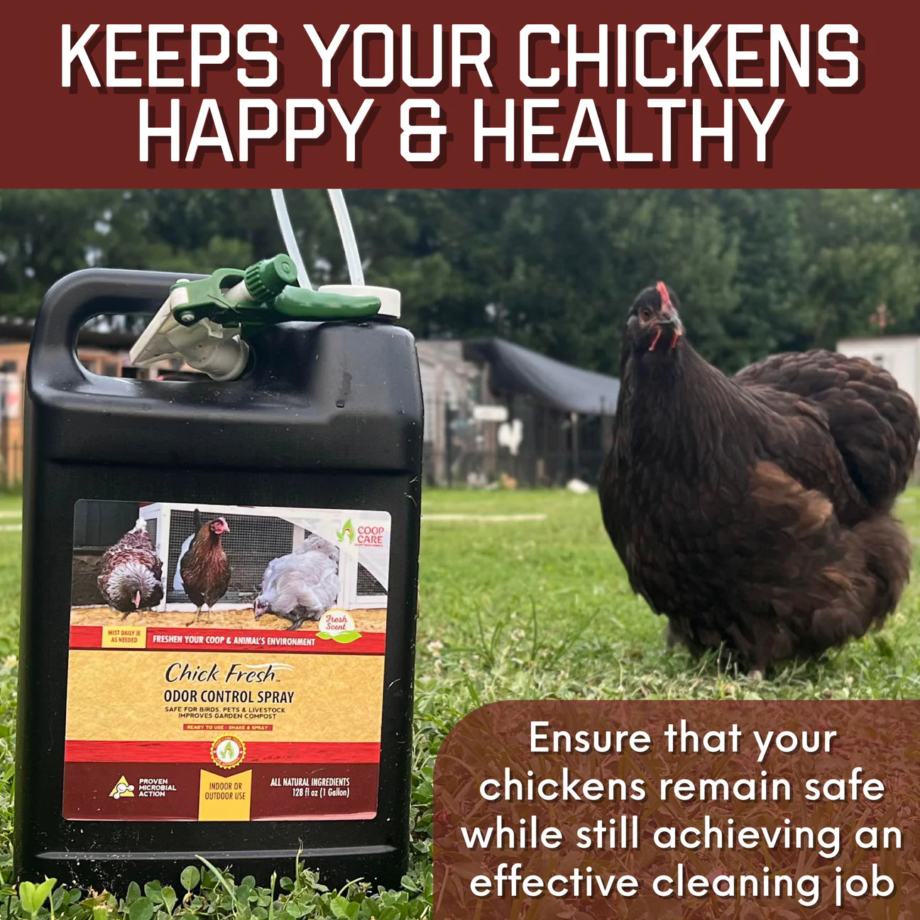 Chick Fresh - Eliminate Chicken Coop & Brooder Odor Concentrate (4 oz makes 1 Gallon of Spray!) *Includes FREE Gallon & 24 oz Application Spray Bottles