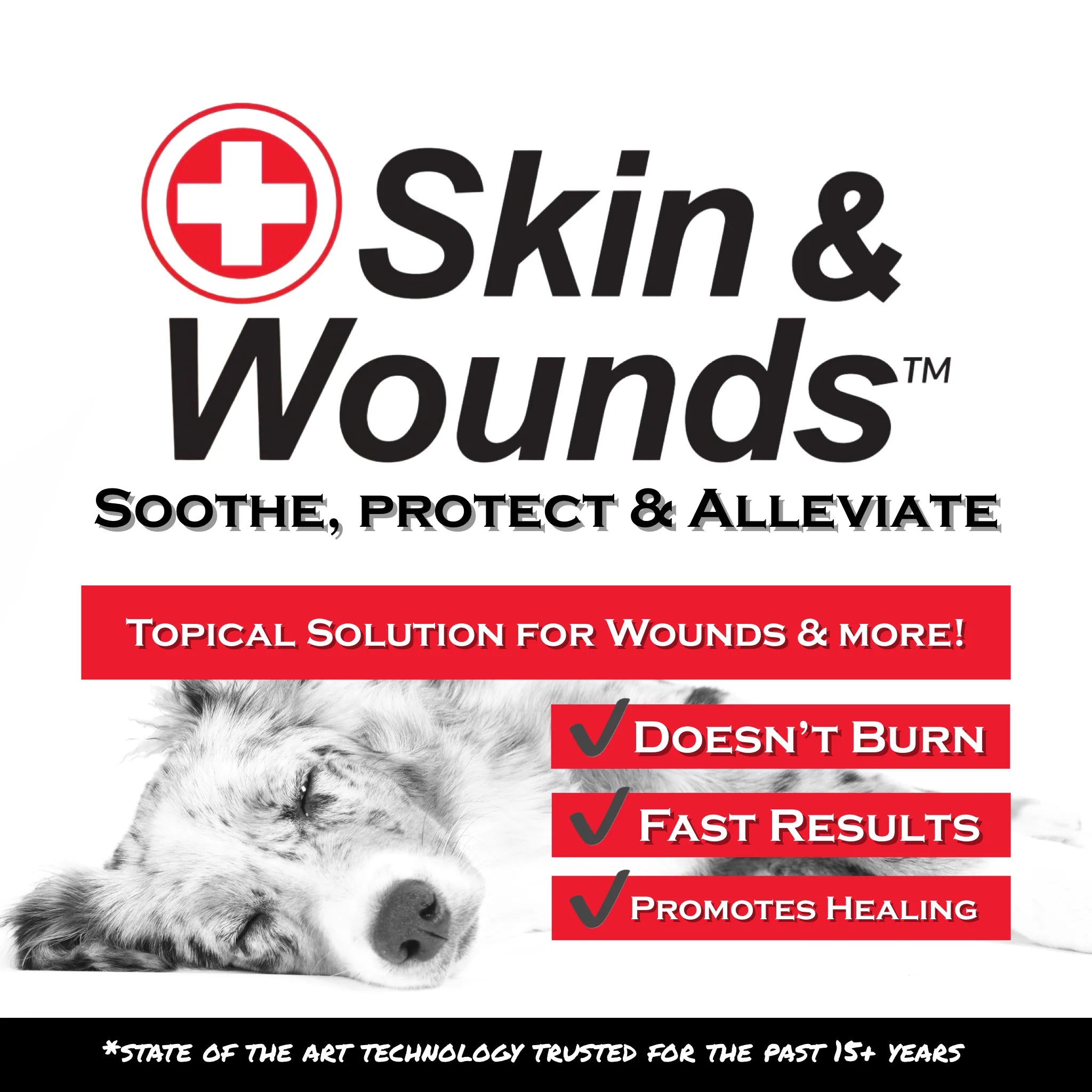 Show Out Skin & Wounds Spray for Dogs & Cat - Remedy for Dog Hot Spot, Cleans and Repairs Skin, Wound Care, Relief for Hot Spots, Skin Allergies, Dry, Itching Skin (Makes 32 oz of Solution for Pet)