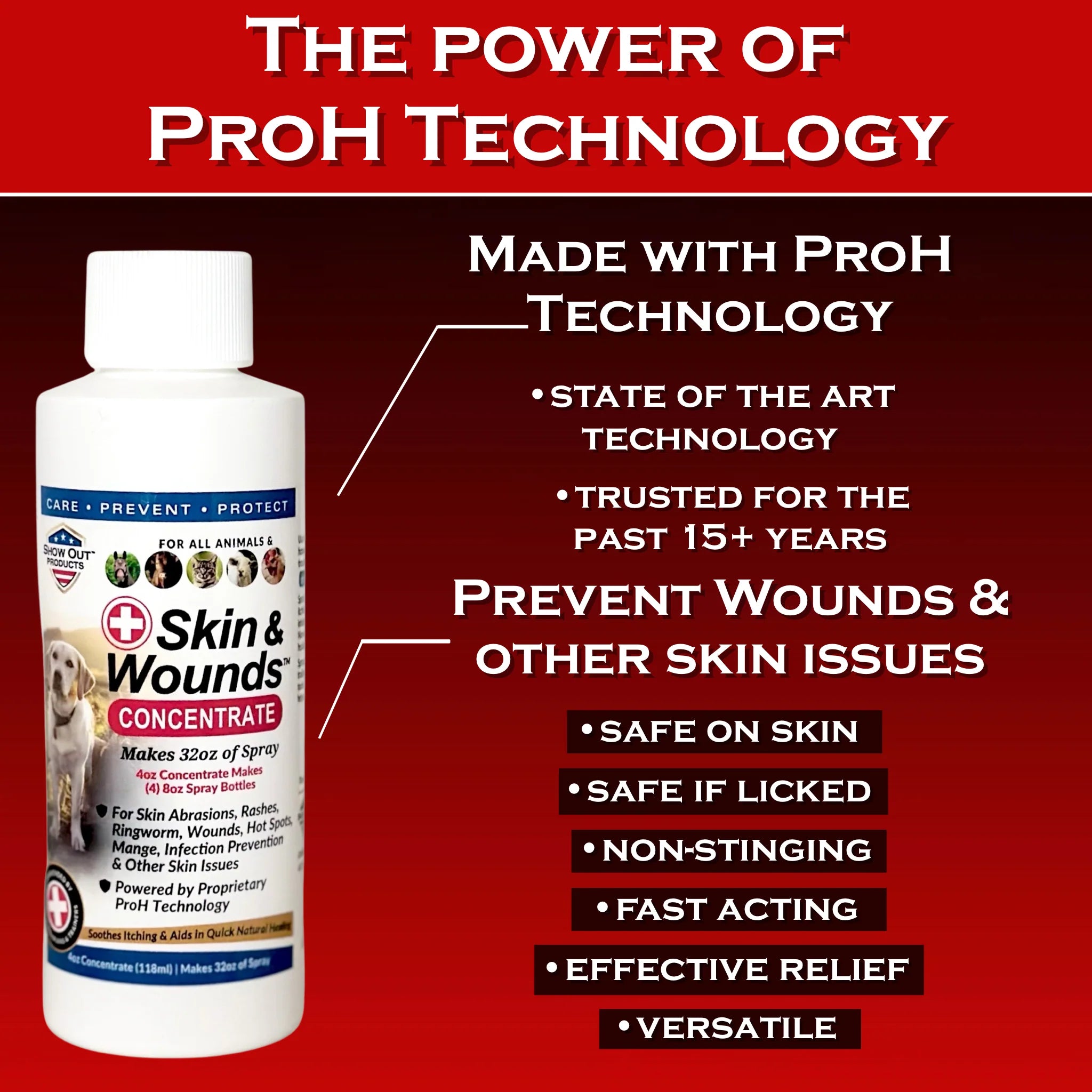 Show Out Skin & Wounds Spray for Dogs & Cat - Remedy for Dog Hot Spot, Cleans and Repairs Skin, Wound Care, Relief for Hot Spots, Skin Allergies, Dry, Itching Skin (Makes 32 oz of Solution for Pet)