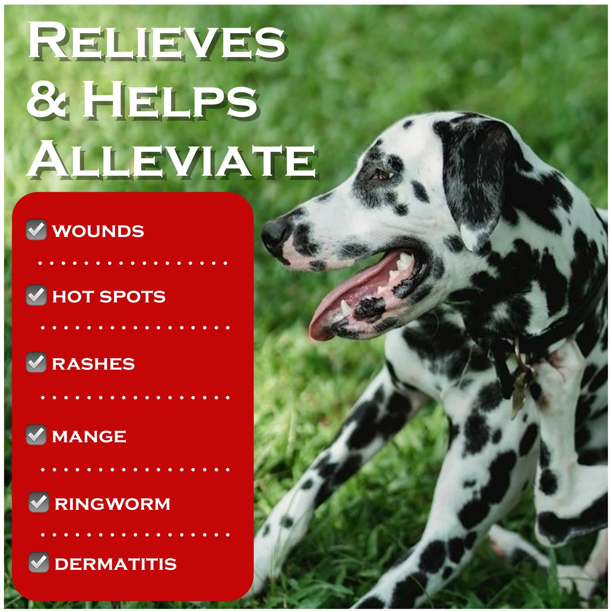Show Out Skin & Wounds Spray for Dogs & Cat - Remedy for Dog Hot Spot, Cleans and Repairs Skin, Wound Care, Relief for Hot Spots, Skin Allergies, Dry, Itching Skin (Makes 32 oz of Solution for Pet)