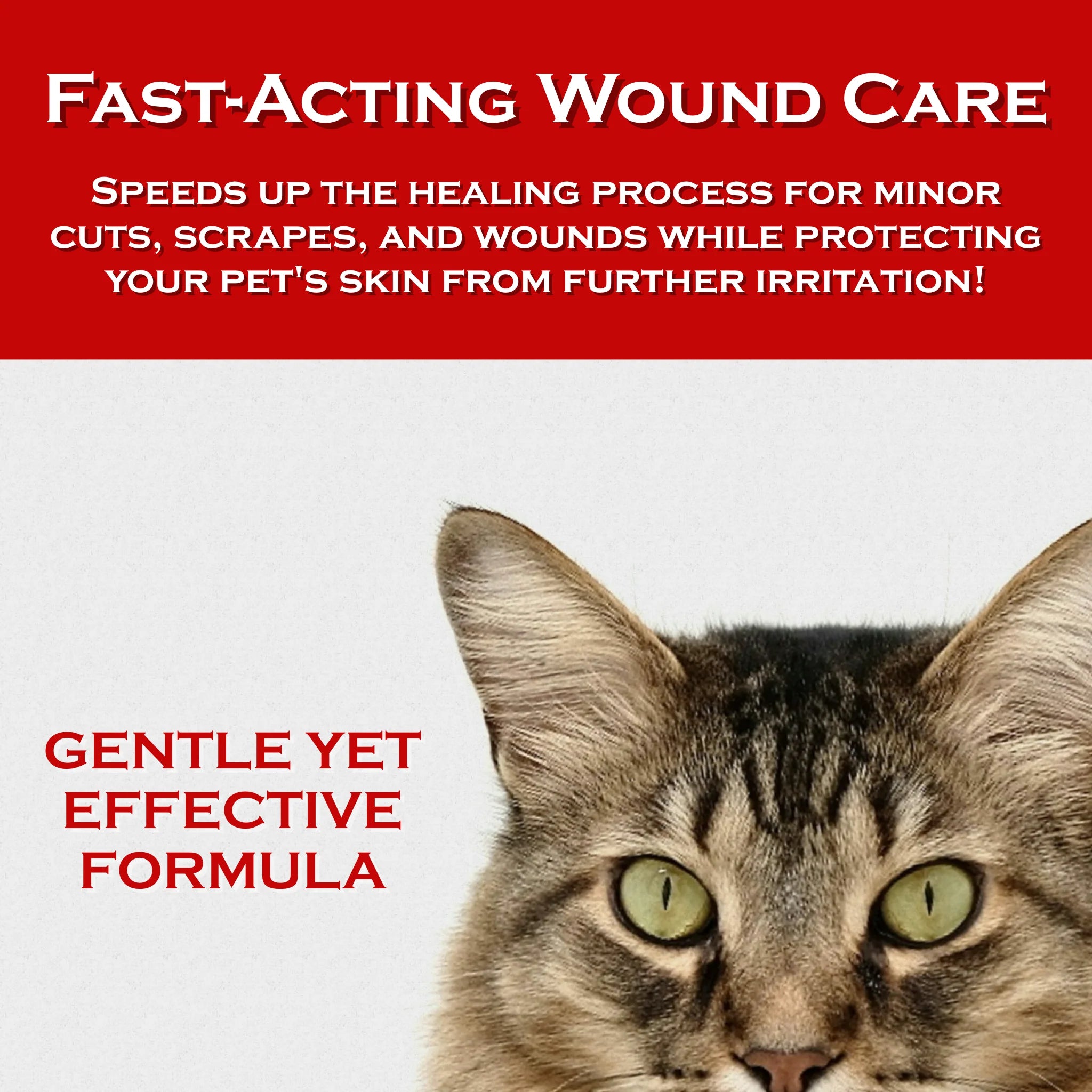 Show Out Skin & Wounds Spray for Dogs & Cat - Remedy for Dog Hot Spot, Cleans and Repairs Skin, Wound Care, Relief for Hot Spots, Skin Allergies, Dry, Itching Skin (Makes 32 oz of Solution for Pet)