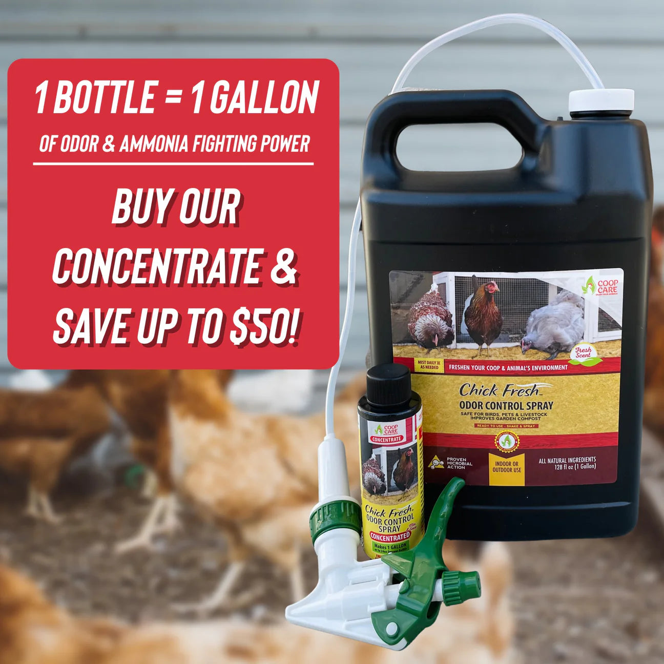 Chick Fresh - Eliminate Chicken Coop & Brooder Odor Concentrate (4 oz makes 1 Gallon of Spray!) *Includes FREE Gallon & 24 oz Application Spray Bottles