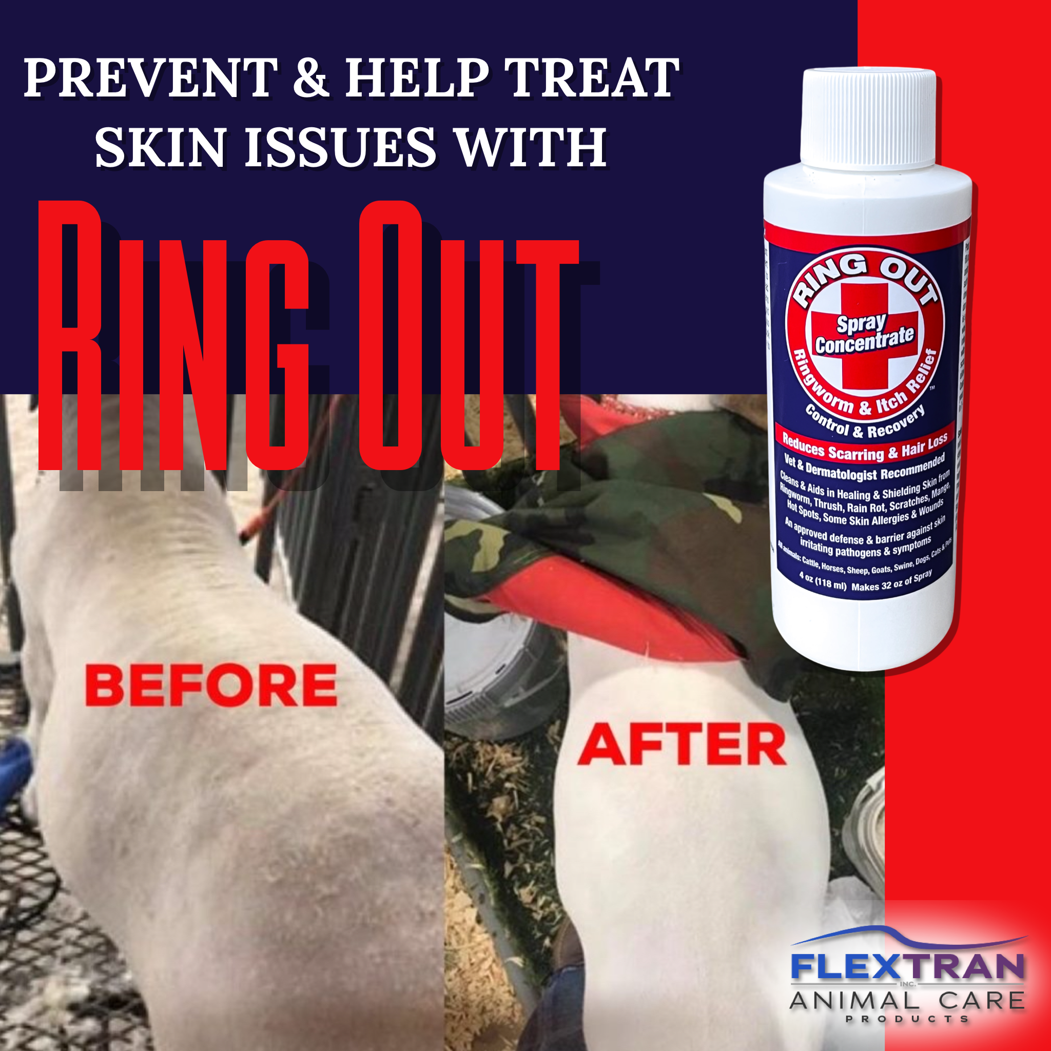 Ring Out - 2 bottles of Ring Out & 1 Sprayer - Prevent & Help Treat Ringworm & Fungus