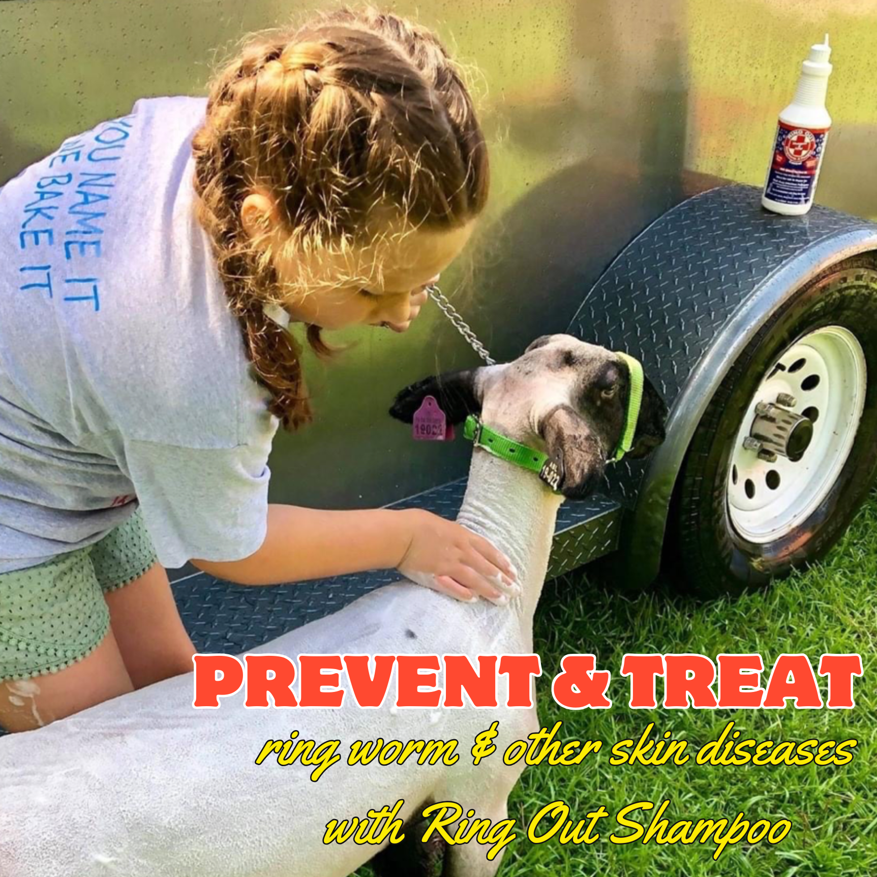 Ring Out Shampoo & Soap - Prevent Ringworm & Fungus