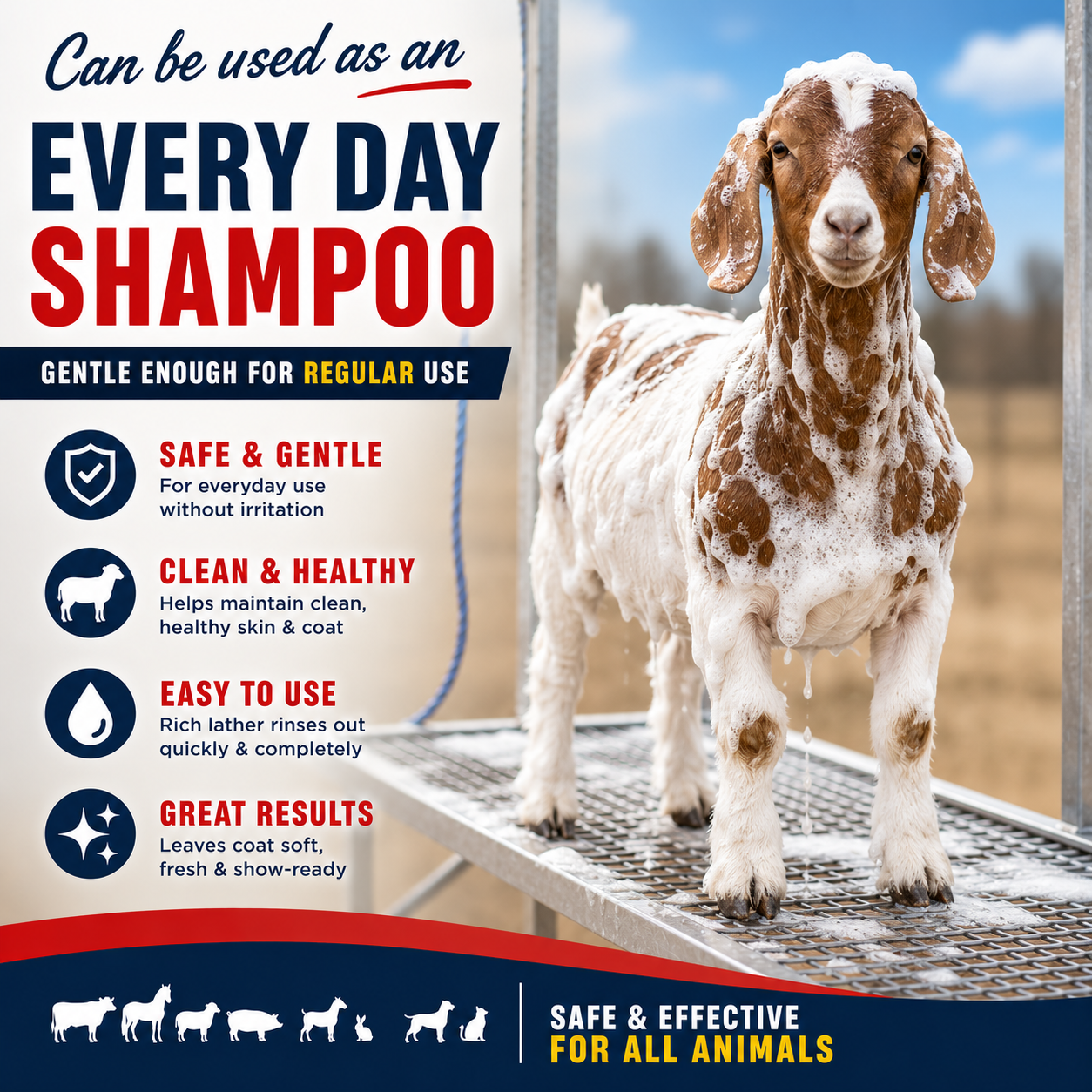 Ring Out Shampoo & Soap - Prevent Ringworm & Fungus