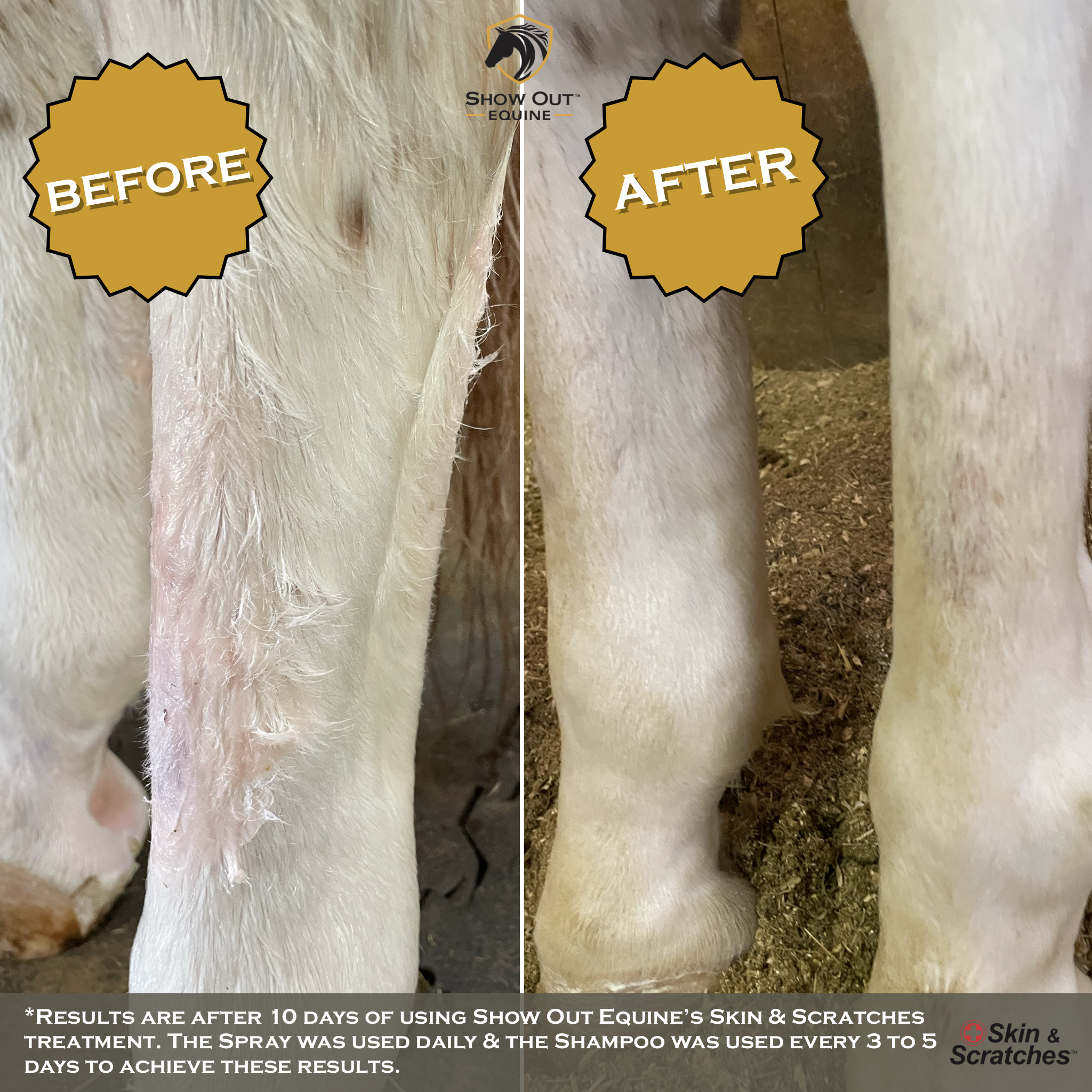 Show Out Skin & Scratches 4 oz Concentrate - Fast Relief and Prevention for Horse Care. Use on Equine Scratches/Mud Fever, Girth Itch, Mange, Thrush, Rain Rot, Ringworm & Other Skin Issues.