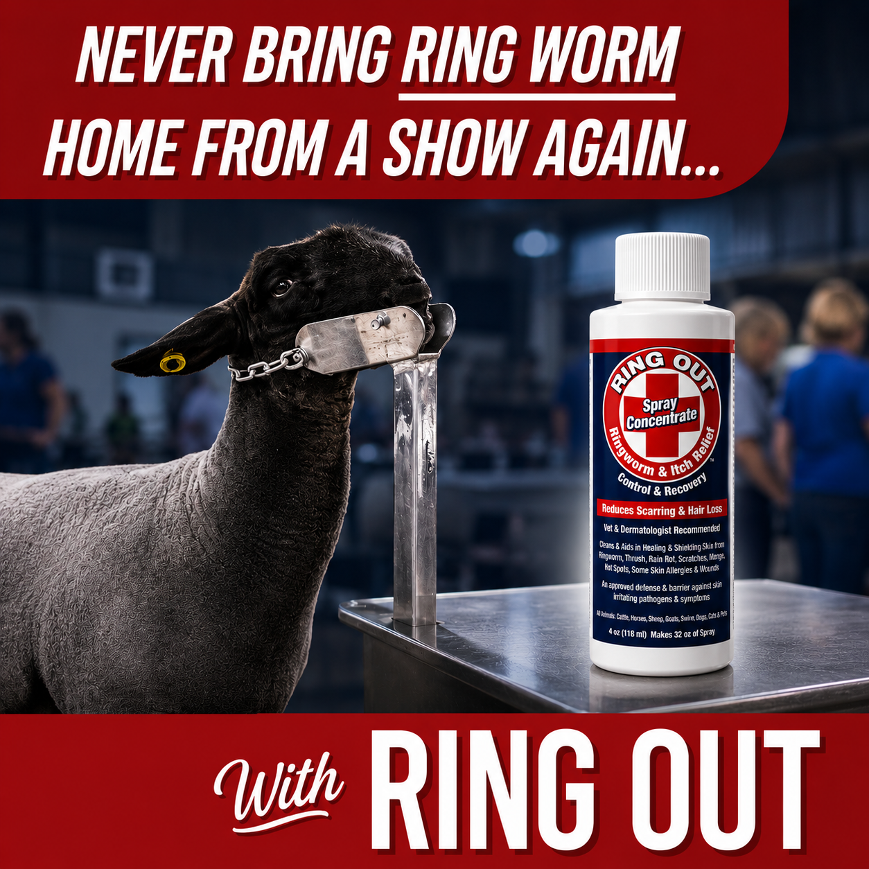 Ringworm Prevention Pack - Prevent and Help Treat Ringworm for Goats, Cattle, Horses, All Pets and Livestock. Ring Out, Ring Out Shampoo and Empty 32 oz Spray Bottle