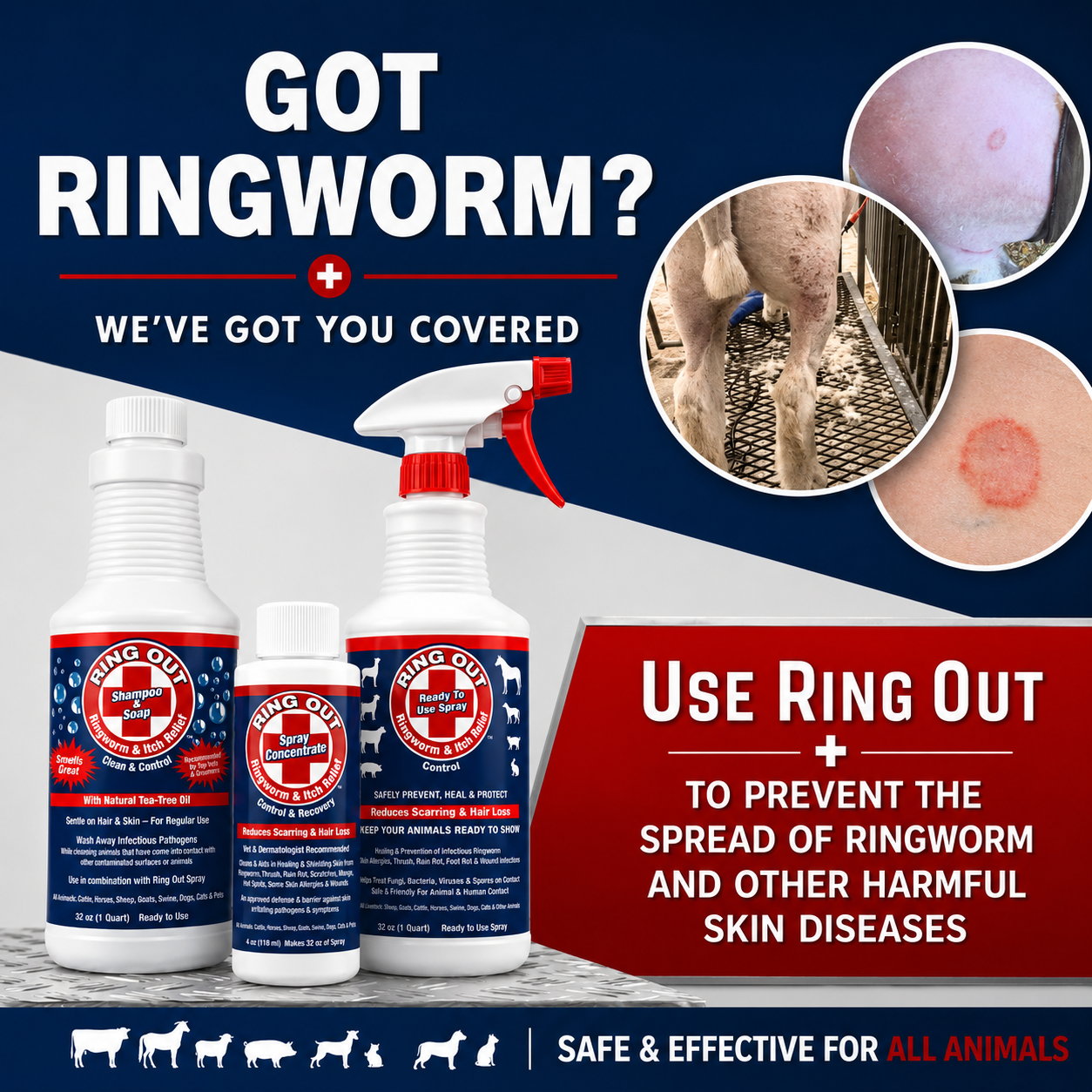 Ringworm Prevention Pack - Prevent and Help Treat Ringworm for Goats, Cattle, Horses, All Pets and Livestock. Ring Out, Ring Out Shampoo and Empty 32 oz Spray Bottle