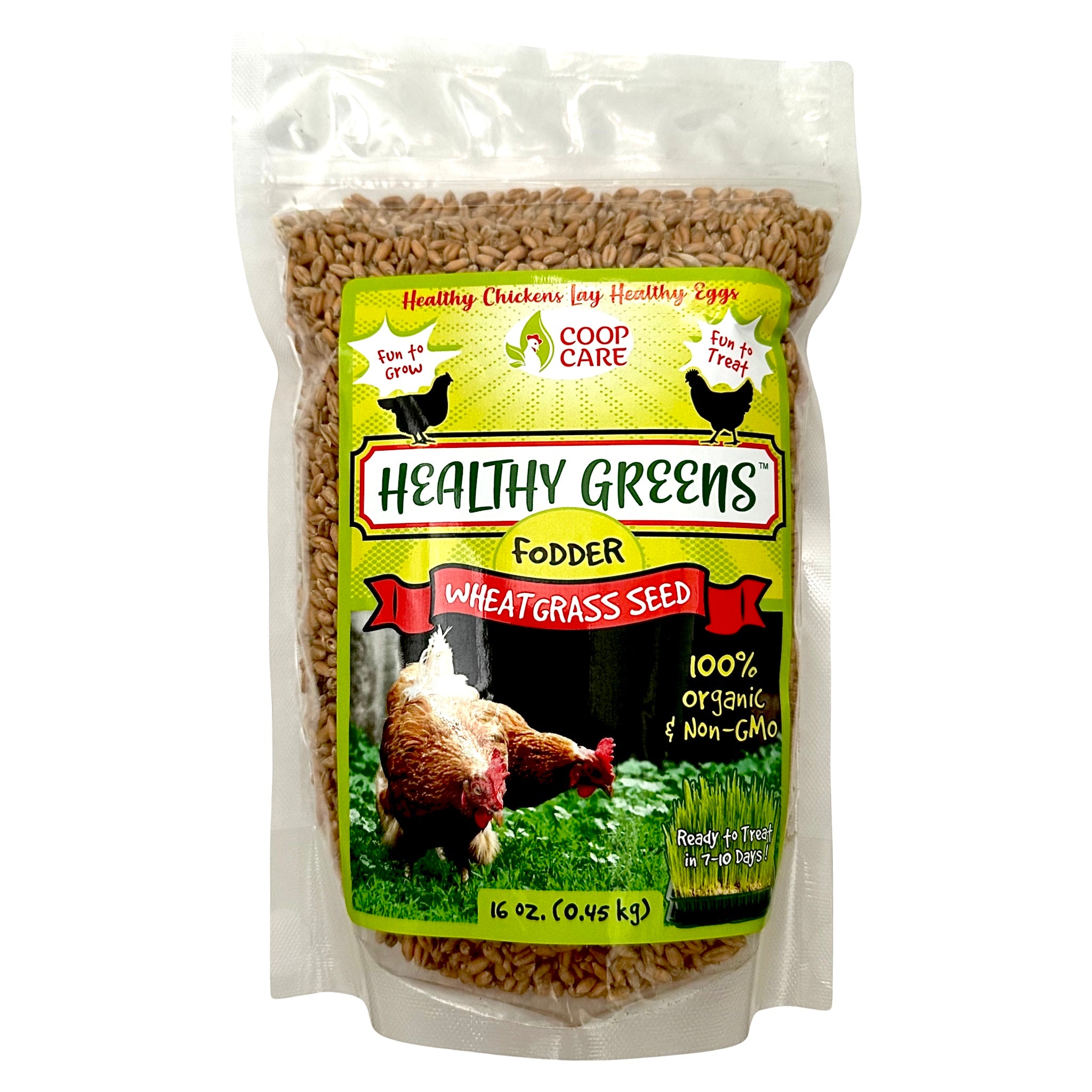 Healthy Greens Wheatgrass Fodder Seed