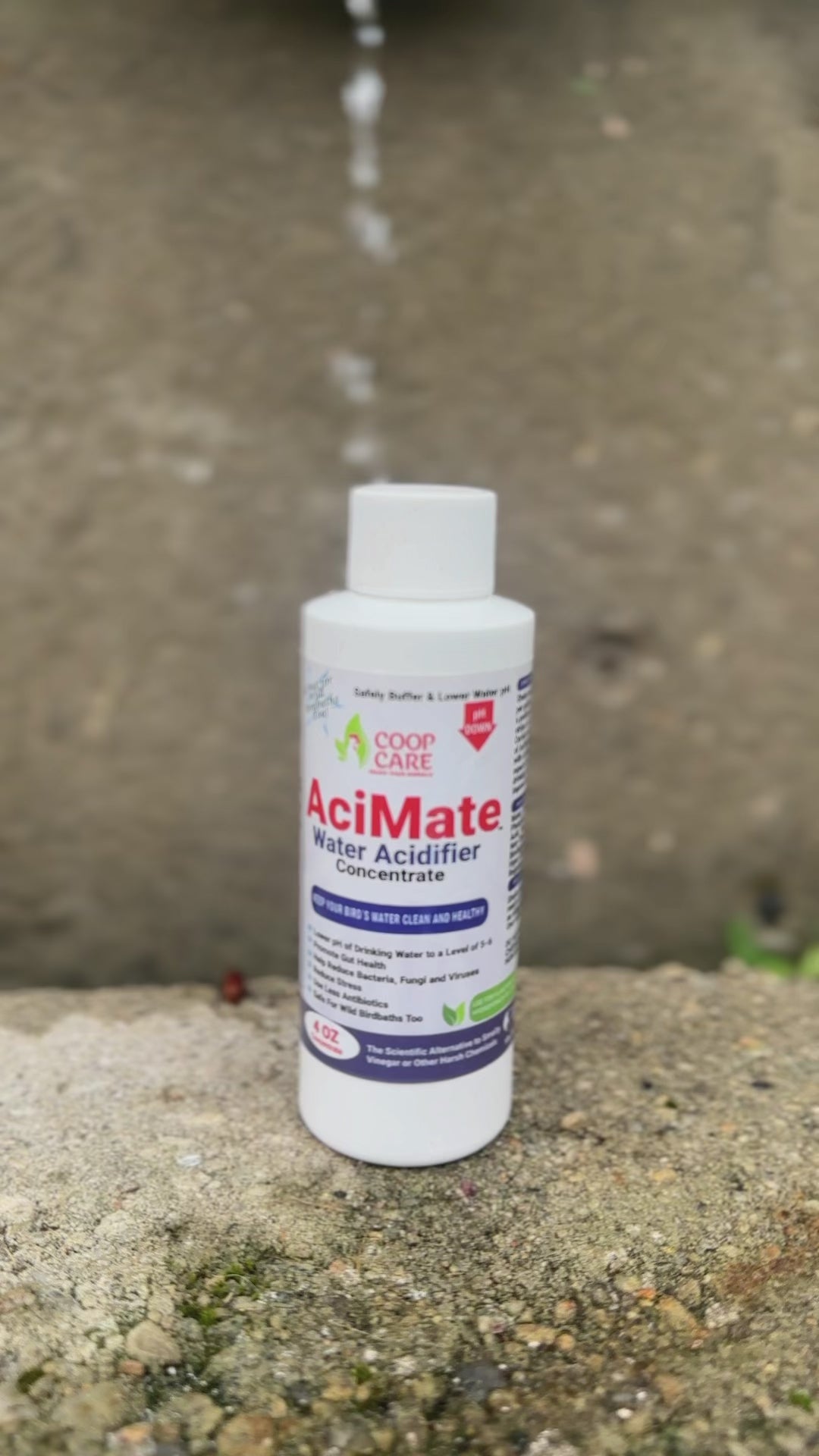 AciMate Water Acidifier Concentrate (4oz) – Water Quality is Essential to Poultry Health. Optimize Water pH, Eliminate BioFilm & Algae Growth in Your Waterers. 10x Stronger than Apple Cider Vinegar! Pleasant Taste. Free pH test strips included!