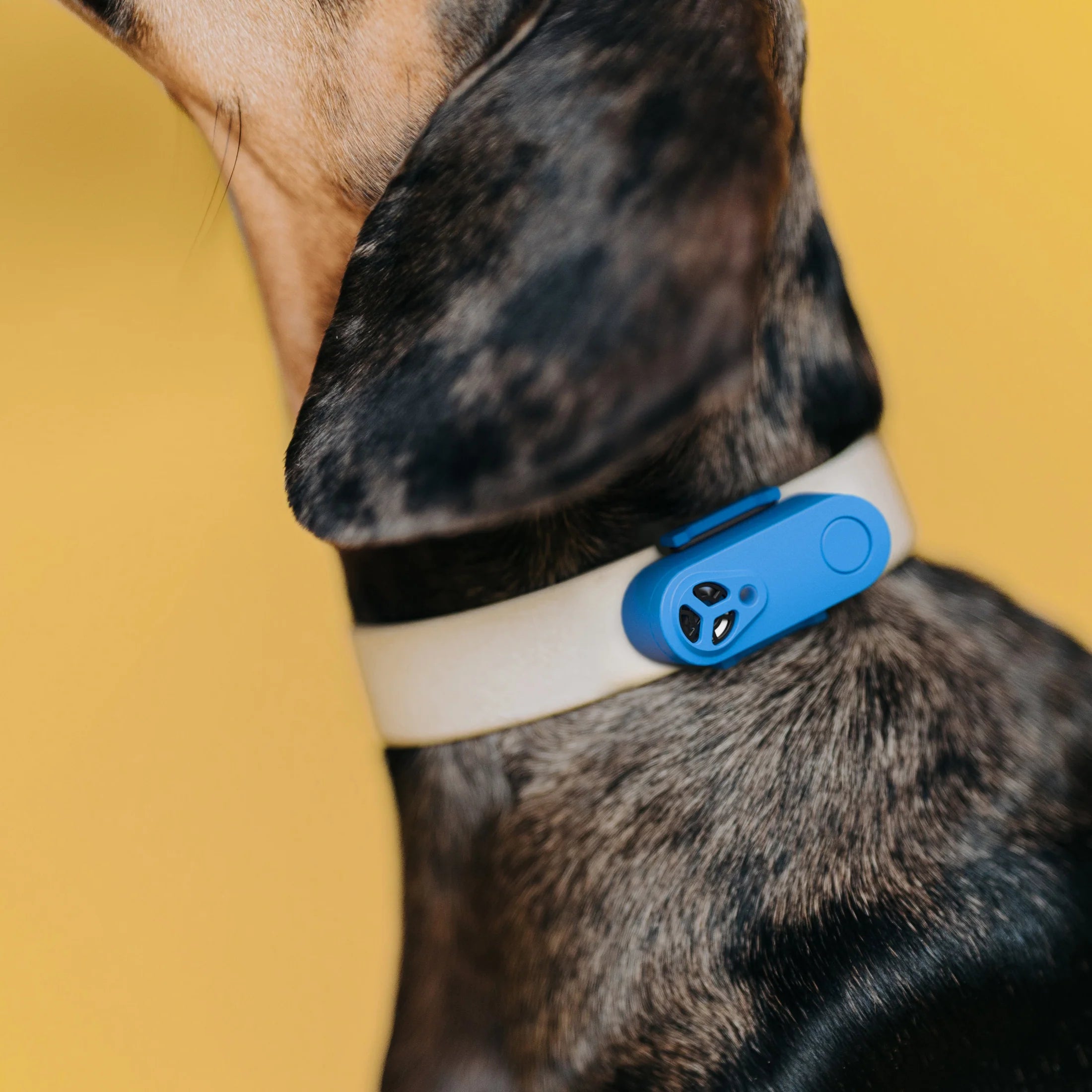 Tickless Mini Ultrasonic Flea & Tick Collar Device for Dogs & Cats