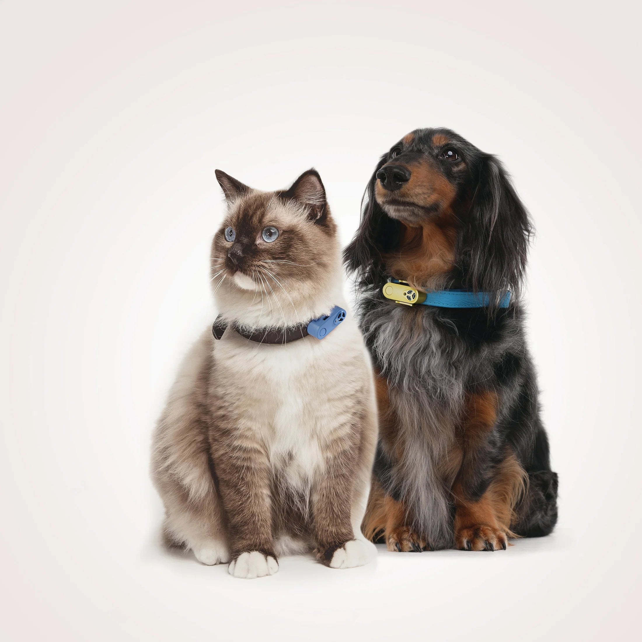 Tickless Mini Ultrasonic Flea & Tick Collar Device for Dogs & Cats
