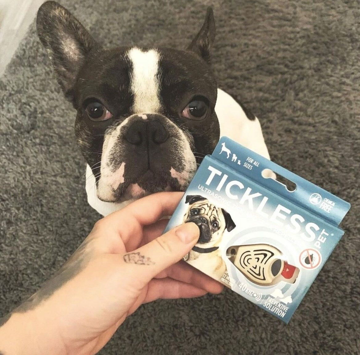 Tickless Chemical-Free Pet Accessories for Flea Prevention and Tick Control for Dogs