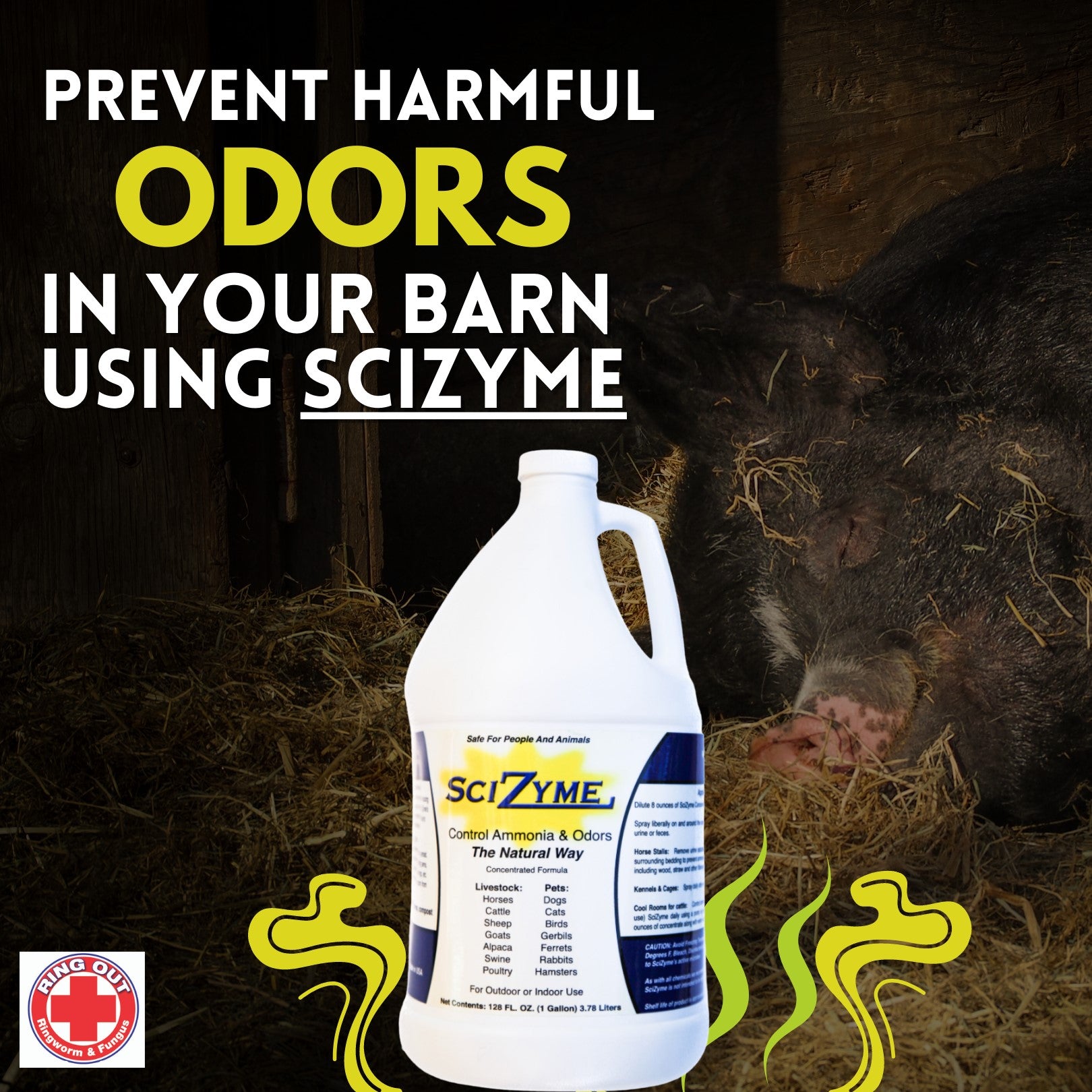SciZyme - Fresh 500 Concentrate - Enzyme Based Eliminator & Control Odors & Ammonia in Cooler Rooms, Barns, Trailers, Kennels, Concrete.