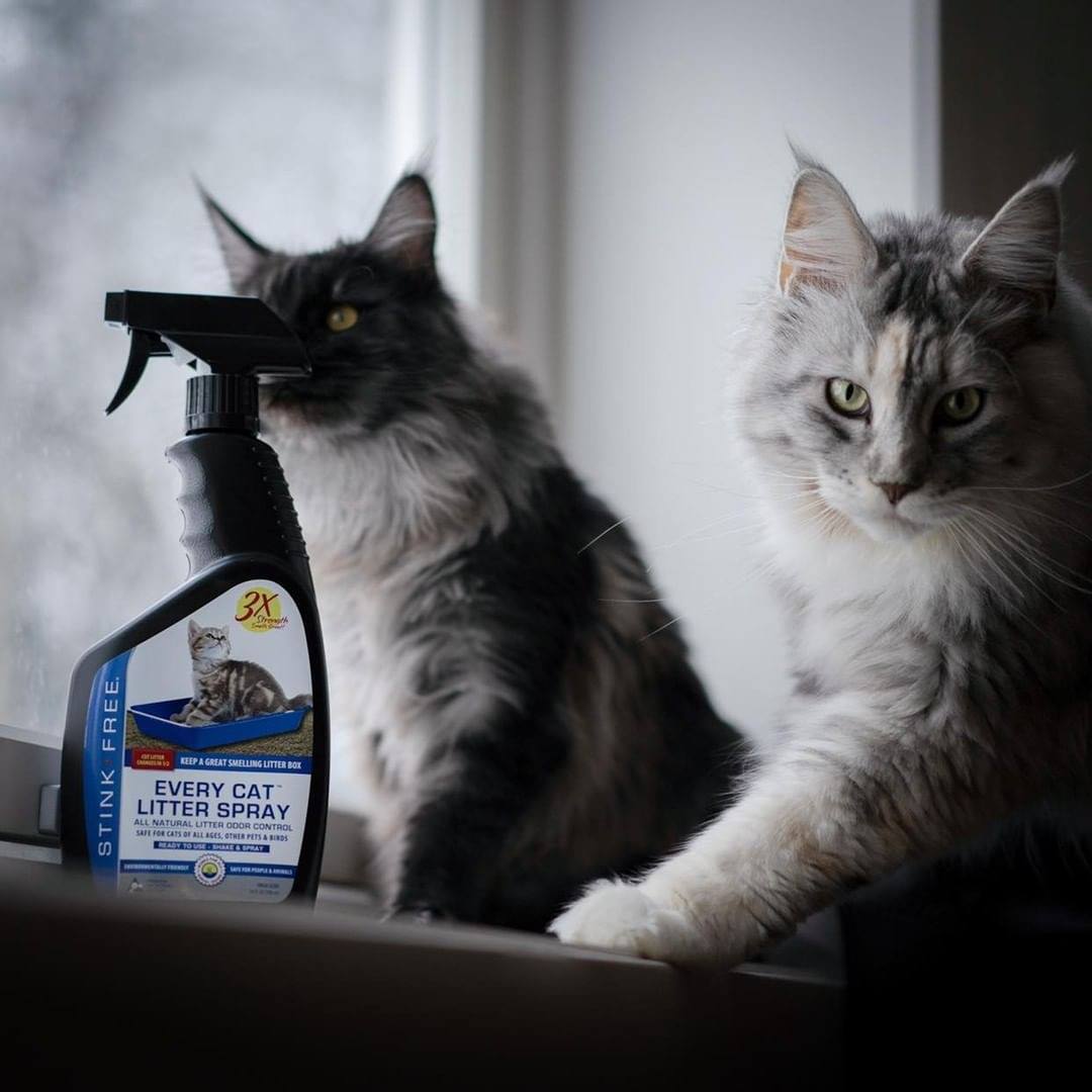 Every Cat Litter Spray - Eliminate Odors & Cut Litter Box Changes In Half!