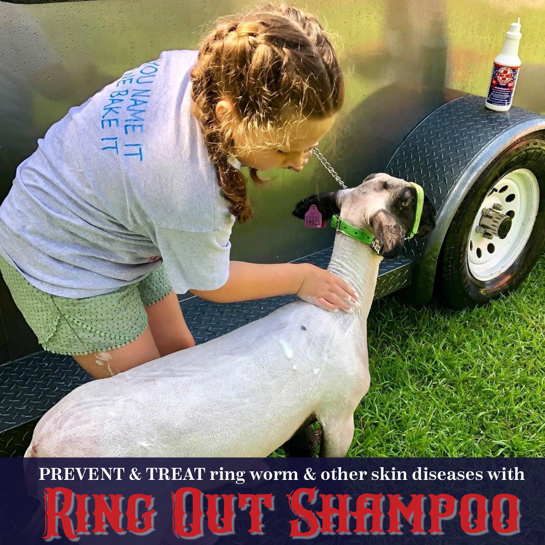 Ring Out Shampoo & Soap - Prevent Ringworm & Fungus