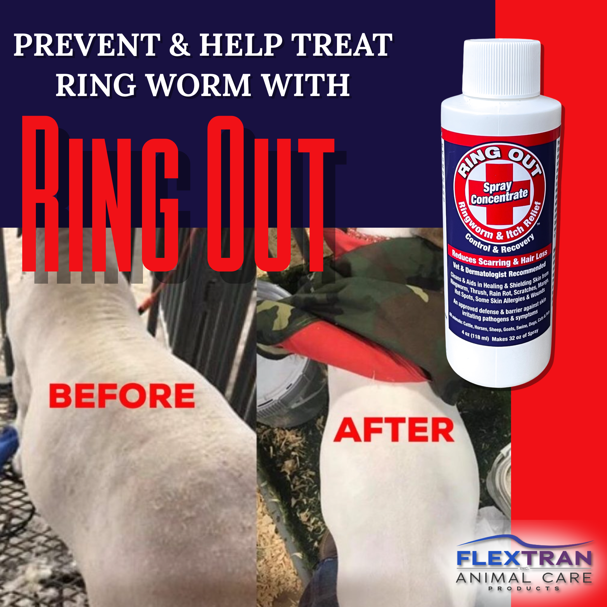 Combo Pack -  Ring Out Shampoo & 2 Bottles of Ring Out Concentrate - Prevent & Help Cure Ringworm & Other Fungi