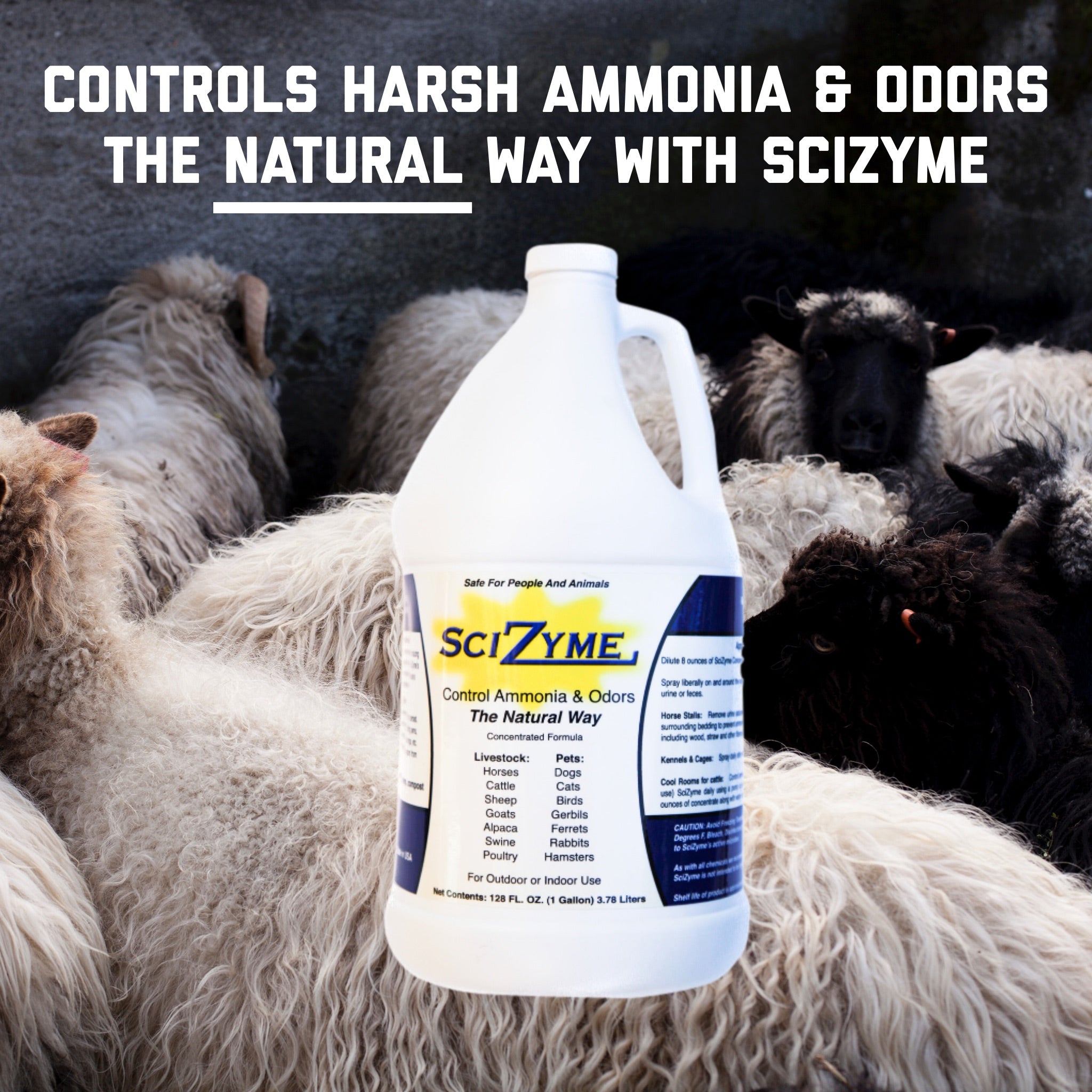 SciZyme - Fresh 500 Concentrate - Enzyme Based Eliminator & Control Odors & Ammonia in Cooler Rooms, Barns, Trailers, Kennels, Concrete.