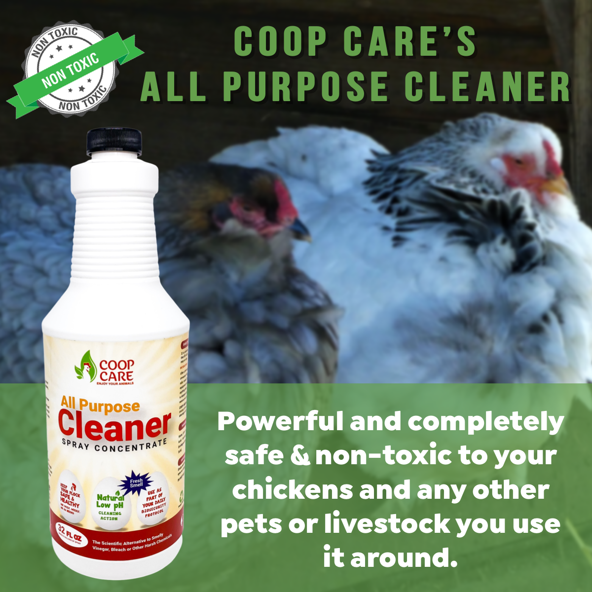 Coop Care All Purpose Cleaner - Wash away Viruses, Bacteria and Fungus (4 oz)