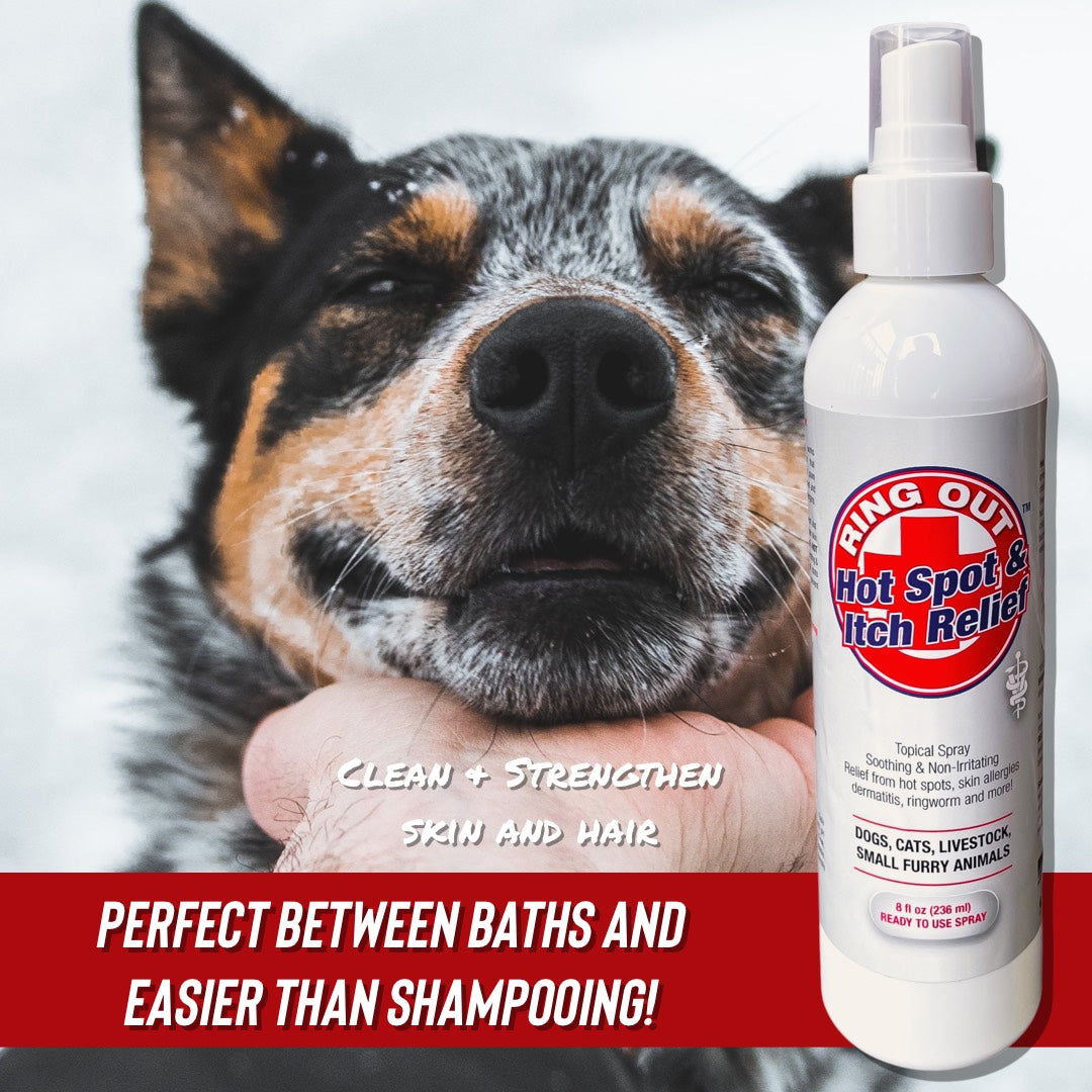 Ring Out Hot Spot Treatment and Itch Relief for Dogs and Cats